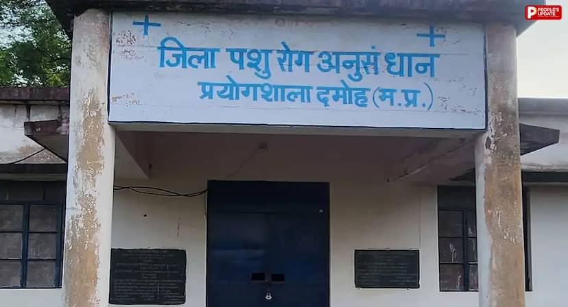 दमोह की डीआई लैब में लाखों की मशीनें बेकार, तकनीकी स्टाफ की कमी से पशुपालकों को परेशानी