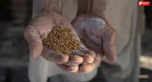 पाकिस्तान में पौष्टिक भोजन का संकट, फल-सब्जियों की भारी कमी; 60% से ज्यादा आबादी के लिए हेल्दी डाइट महंगी