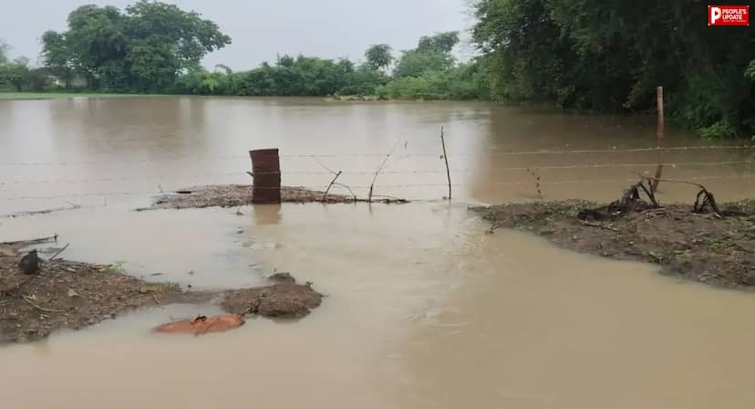 सड़क निर्माण में लापरवाही: 4 एकड़ फसल बर्बाद, किसान ने  कर्ज लेकर बोई थी फसल 