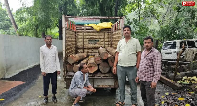 सीहोर: सागौन लकड़ी तस्करी का भंडाफोड़, पिकअप जब्त; आरोपी गिरफ्तार 