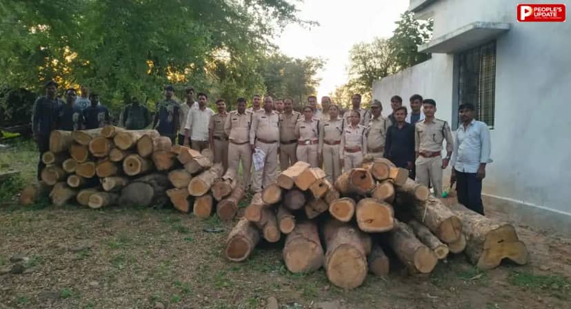 सागर में वन विभाग की कार्रवाई, सागौन की 52 नग लकड़ी जब्त