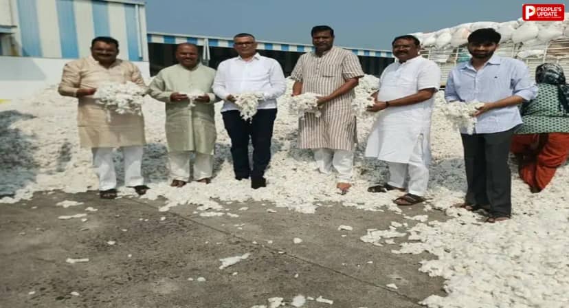 छिंदवाड़ा: सौसर में कपास की आवक शुरू, 9101 रुपए प्रति क्विंटल मिला भाव