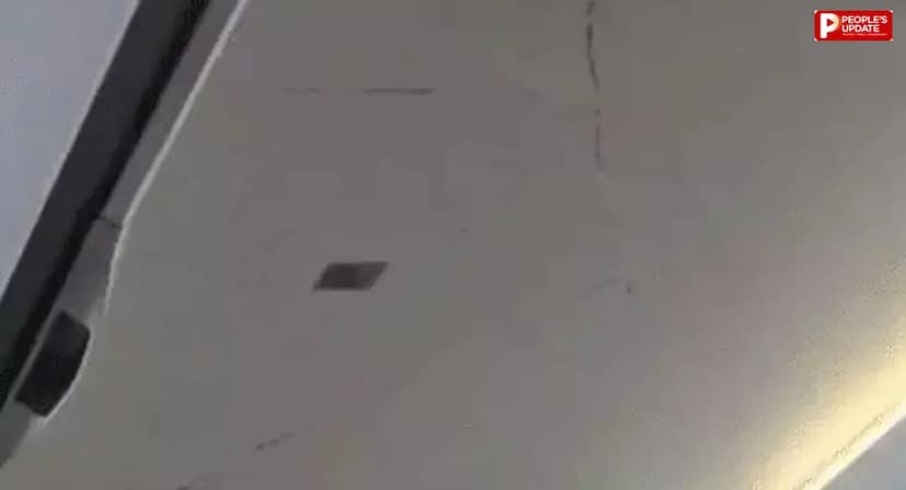 फुकेट-दिल्ली फ्लाइट हादसे में बड़ा खुलासा, पायलट का ड्रग टेस्ट पॉजिटिव; तीनों हाइड्रोलिक सिस्टम में आई थी खराबी
