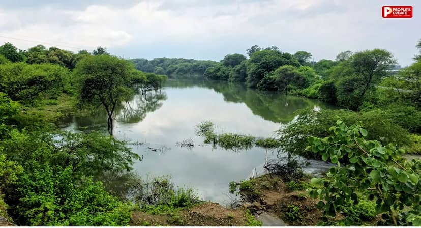 दमोह की बंद खदानों को मिल सकता है नया स्वरूप, ईको-पार्क और हरित क्षेत्र विकसित करने की संभावना