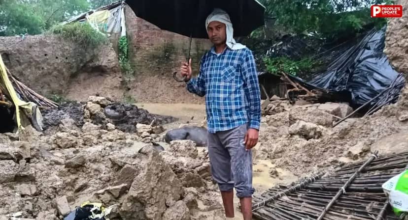 हरदोई में बारिश बनी आफत, पेड़ गिरने से 11 साल की बच्ची की मौत; 6 घायल, 4 भैंसों ने भी गंवाई जान