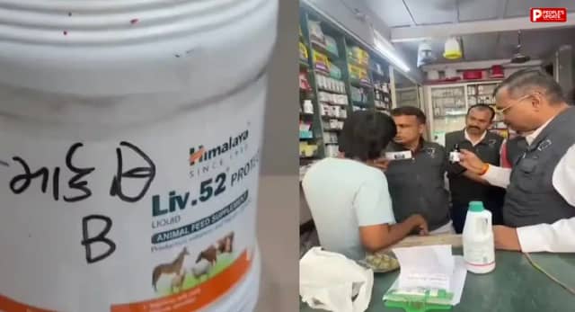 सूरत में बच्चों की दवा के नाम पर सनसनीखेज फर्जीवाड़ा: गाय-घोड़े का लिवर टॉनिक शीशी में भरकर बेचा, साजिद मुल्ला गिरफ्तार