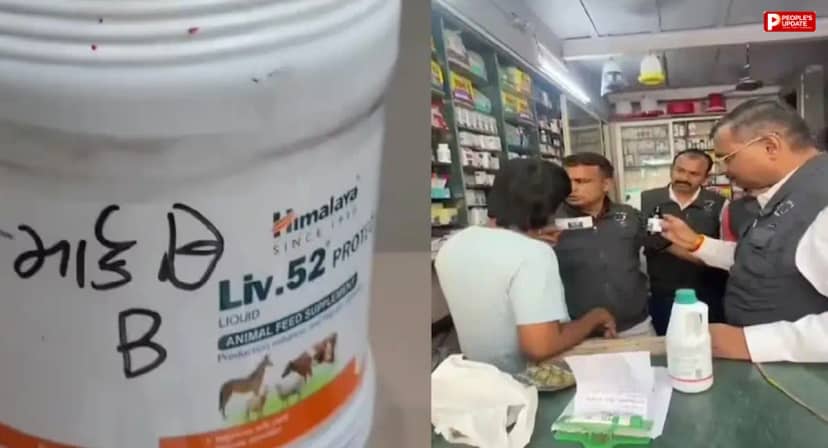 सूरत में बच्चों की दवा के नाम पर सनसनीखेज फर्जीवाड़ा: गाय-घोड़े का लिवर टॉनिक शीशी में भरकर बेचा, साजिद मुल्ला गिरफ्तार