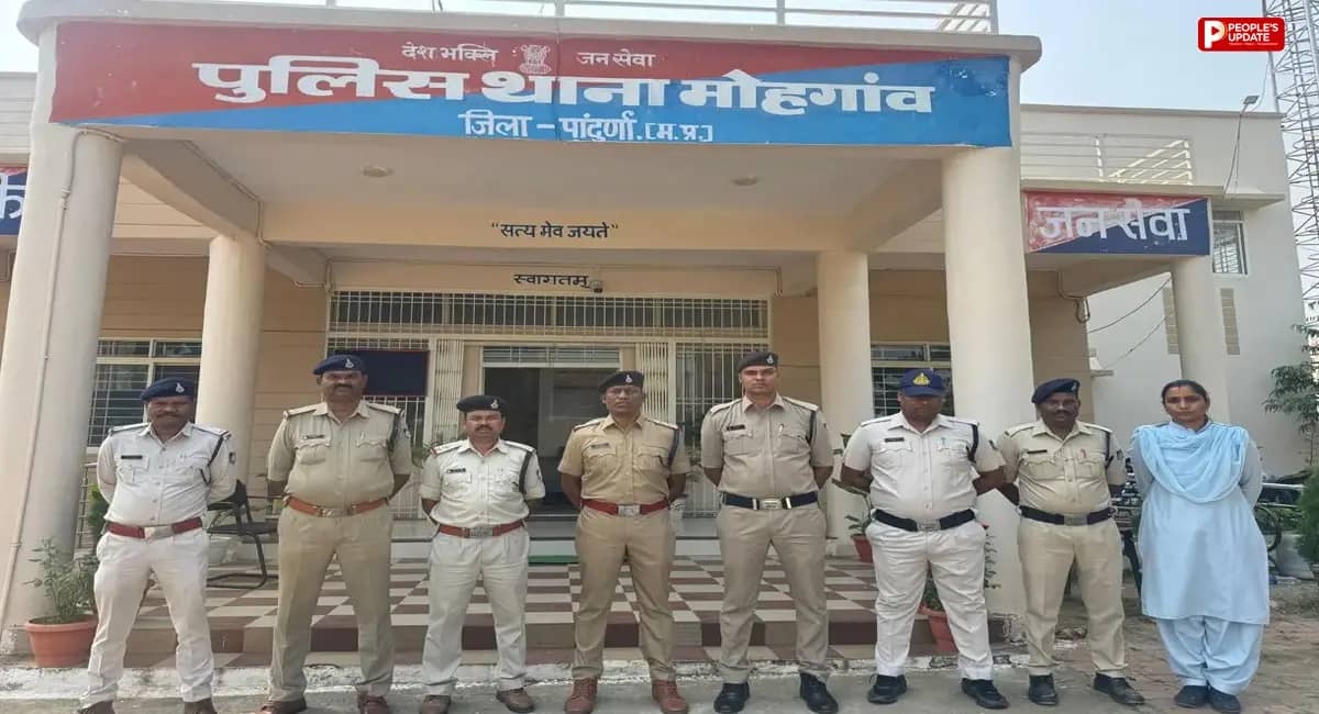 छिंदवाड़ा में घर के पीछे लगा मिला गांजे का पौधा, 1.31 लाख रुपए कीमत; आरोपी गिरफ्तार