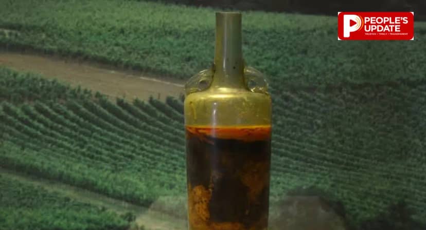 1600 साल पुरानी सील बंद वाइन बोतल आज भी भरी है, 1867 में रोमन मकबरे से मिली Speyer Bottle