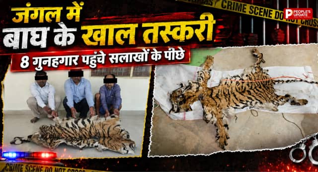 बाघों के शिकारी बेनकाब: इंद्रावती टाइगर रिजर्व में खाल तस्करी सिंडिकेट का पर्दाफाश, 8 गिरफ्तार