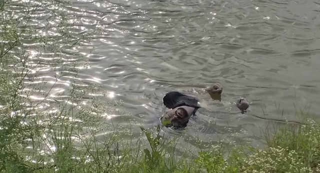 इंदौर के गैंगस्टर सलमान लाला की तालाब में डूबने से मौत, भाई को जेल से लेने गया था, क्राइम ब्रांच से भिड़ंत के बाद तालाब में कूदा
