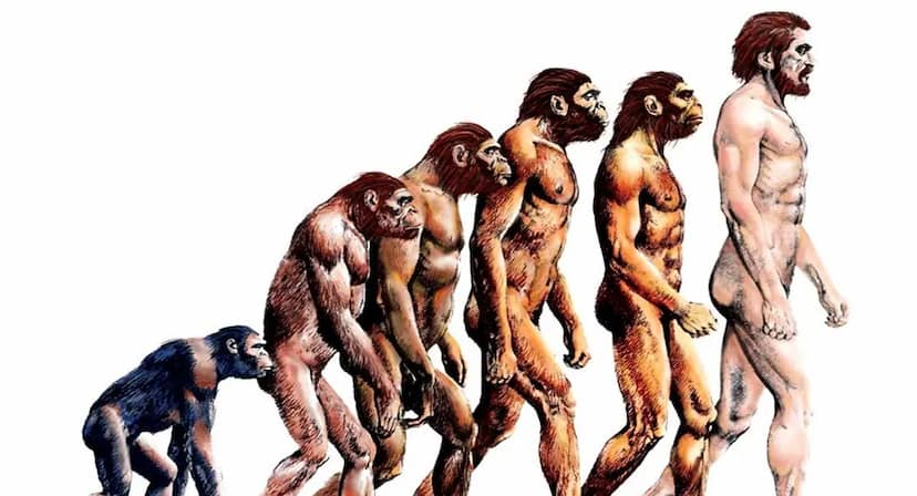 इंसान कैसे बना? जानें जीवन की शुरुआत से आधुनिक मानव तक का सफर