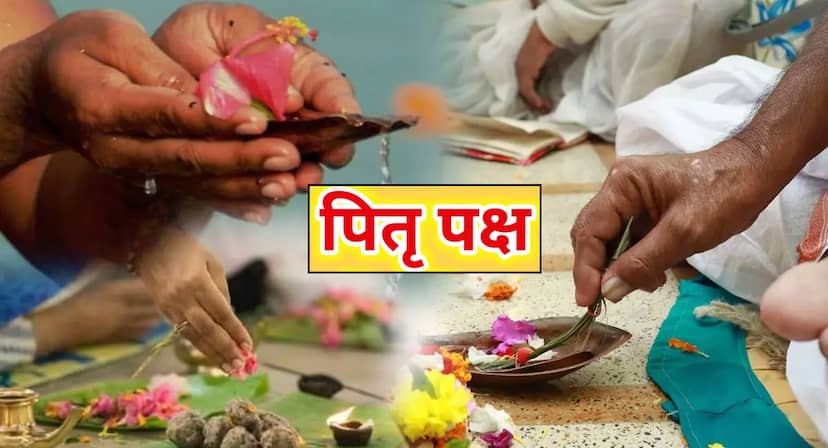 क्या पितर इन्हीं रूपों में आते हैं? पितृ पक्ष में इन जीवों को न करें नजरअंदाज