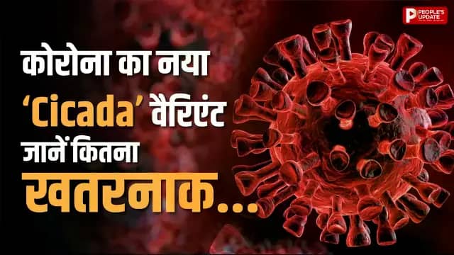 फिर लौट रहा कोरोना? नए वैरिएंट ‘सिकाडा’ ने बढ़ाई टेंशन, 20 देशों में फैल चुका BA.3.2