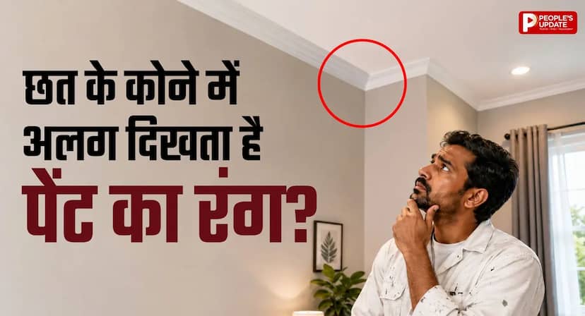 छत का पेंट कुछ दिनों बाद क्यों बदलने लगता है रंग? वजह जानकर नहीं करेंगे ये गलती