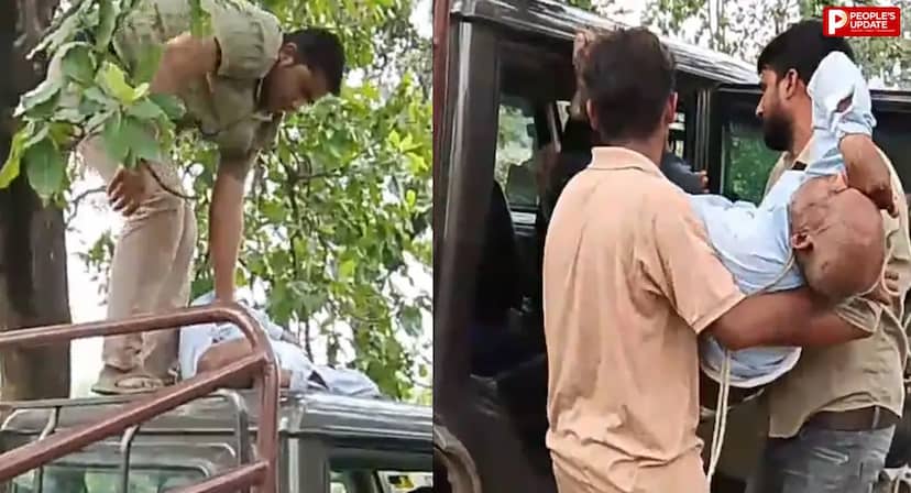 सिंगरौली में पेड़ों की कटाई का विरोध, ग्रामीण ने उठाया आत्मघाती कदम; अस्पताल में भर्ती