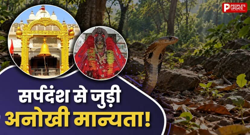 सांप के काटने से जुड़ी मान्यता! आखिर क्या है रतनगढ़ वाली माता मंदिर का रहस्य?