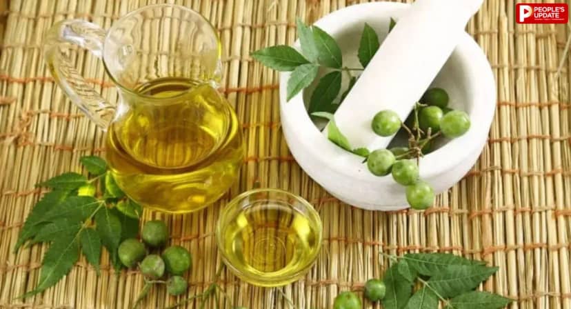 डैंड्रफ और खुजली से परेशान हैं? घर पर ऐसे बनाएं नीम का तेल, जानें बनाने का तरीका