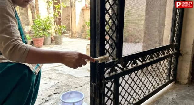 दिवाली की सफाई में दरवाजे-खिड़कियों की जाली न करें नजरअंदाज, इस आसान तरीके से मिनटों में चमकाएं