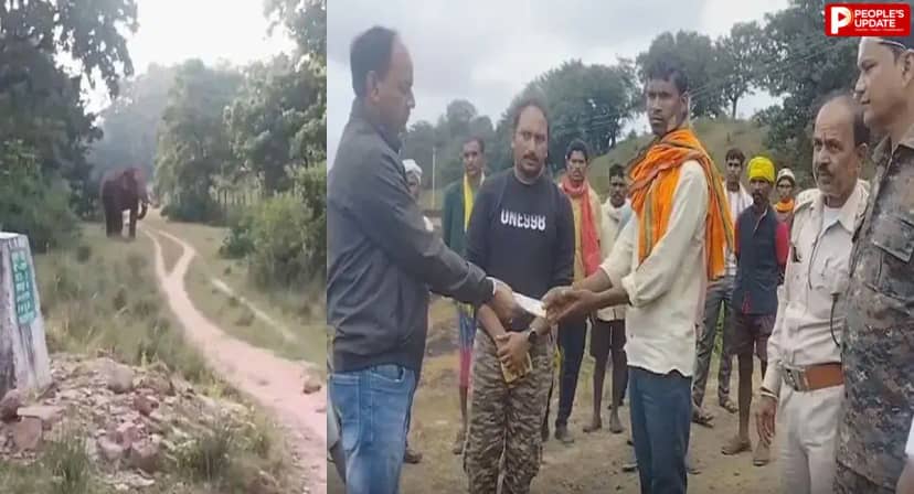 पहले किसान पर हमला, अब बुजुर्ग की मौत; डिंडौरी में जंगली हाथी से बढ़ा खतरा