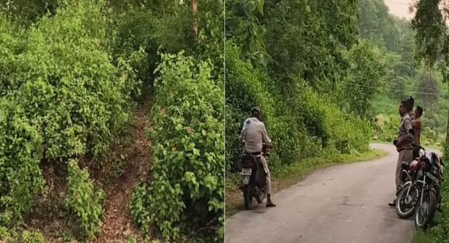 सीधी में दलित युवती से गैंगरेप : जंगल में प्रेमी के साथ गई थी घूमने, तीन आरोपी गिरफ्तार, एक फरार