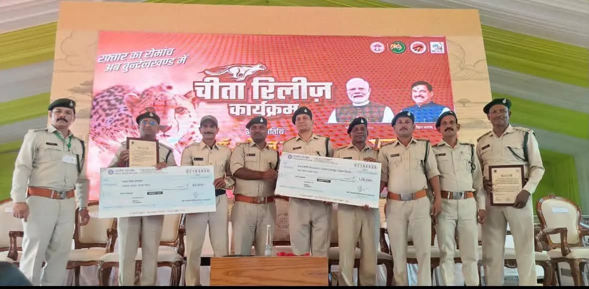 सतपुड़ा टाइगर रिजर्व के वनकर्मियों को सम्मान, गौर विस्थापन में उत्कृष्ट कार्य के लिए मिला पुरस्कार
