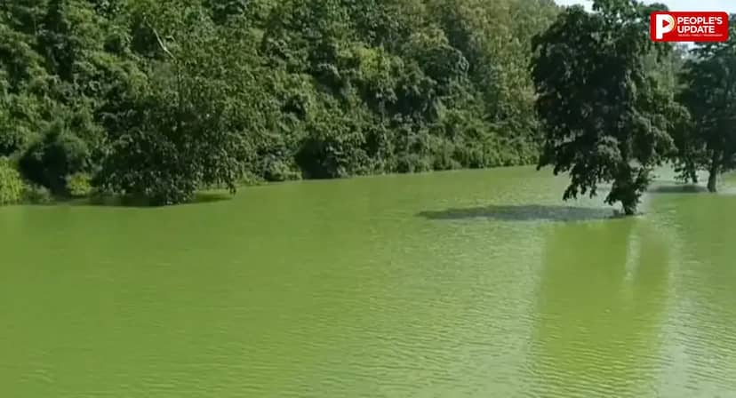 पानी और पहाड़ों का रंग हुआ एक! मानसून के बाद बदली कुदरत की तस्वीर, देखें सिवनी के बरगी बांध का अद्भुत नजारा