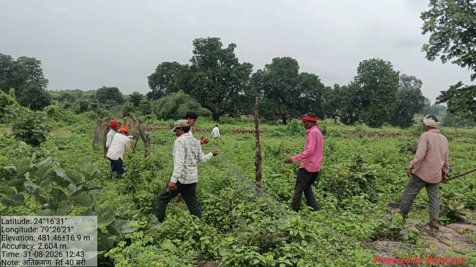 कनोरा में वन भूमि पर फिर फेंसिंग की कोशिश, वन विभाग ने मौके पर पहुंचकर हटवाई जाली