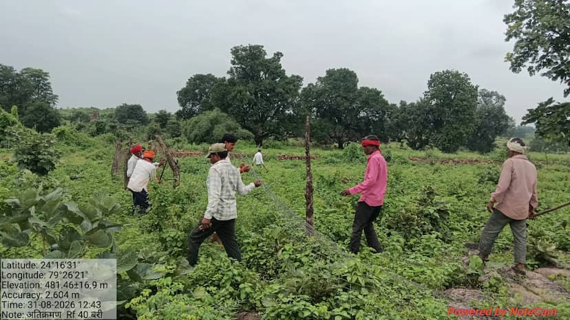 कनोरा में वन भूमि पर फिर फेंसिंग की कोशिश, वन विभाग ने मौके पर पहुंचकर हटवाई जाली