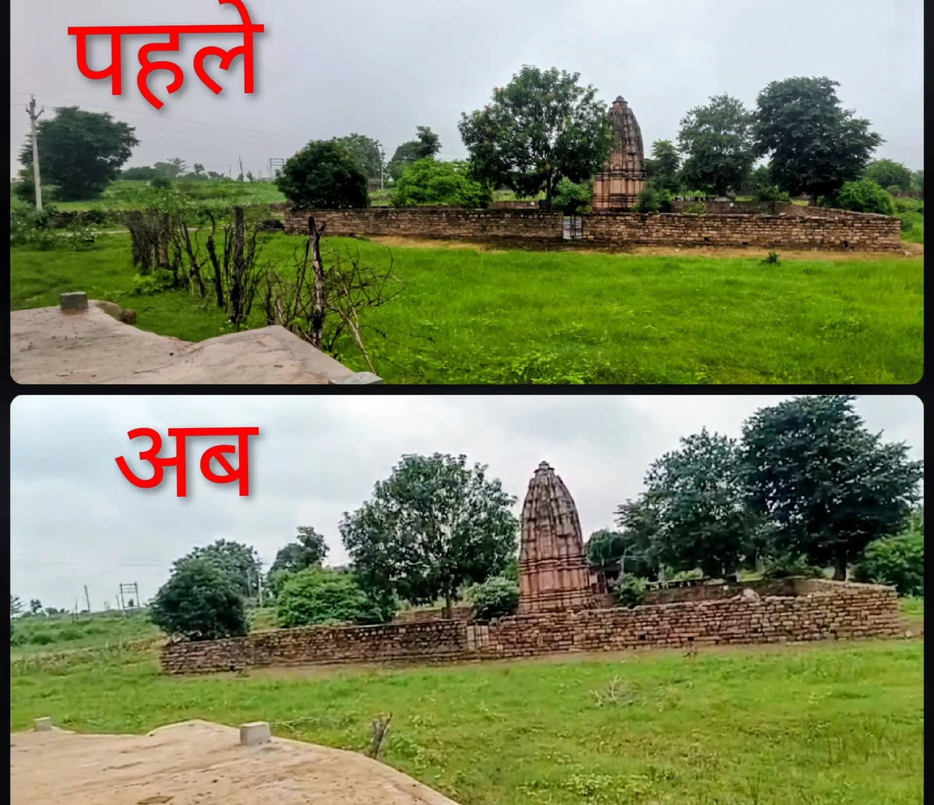 कनोरा में वन भूमि पर फिर फेंसिंग की कोशिश, वन विभाग ने मौके पर पहुंचकर हटवाई जाली