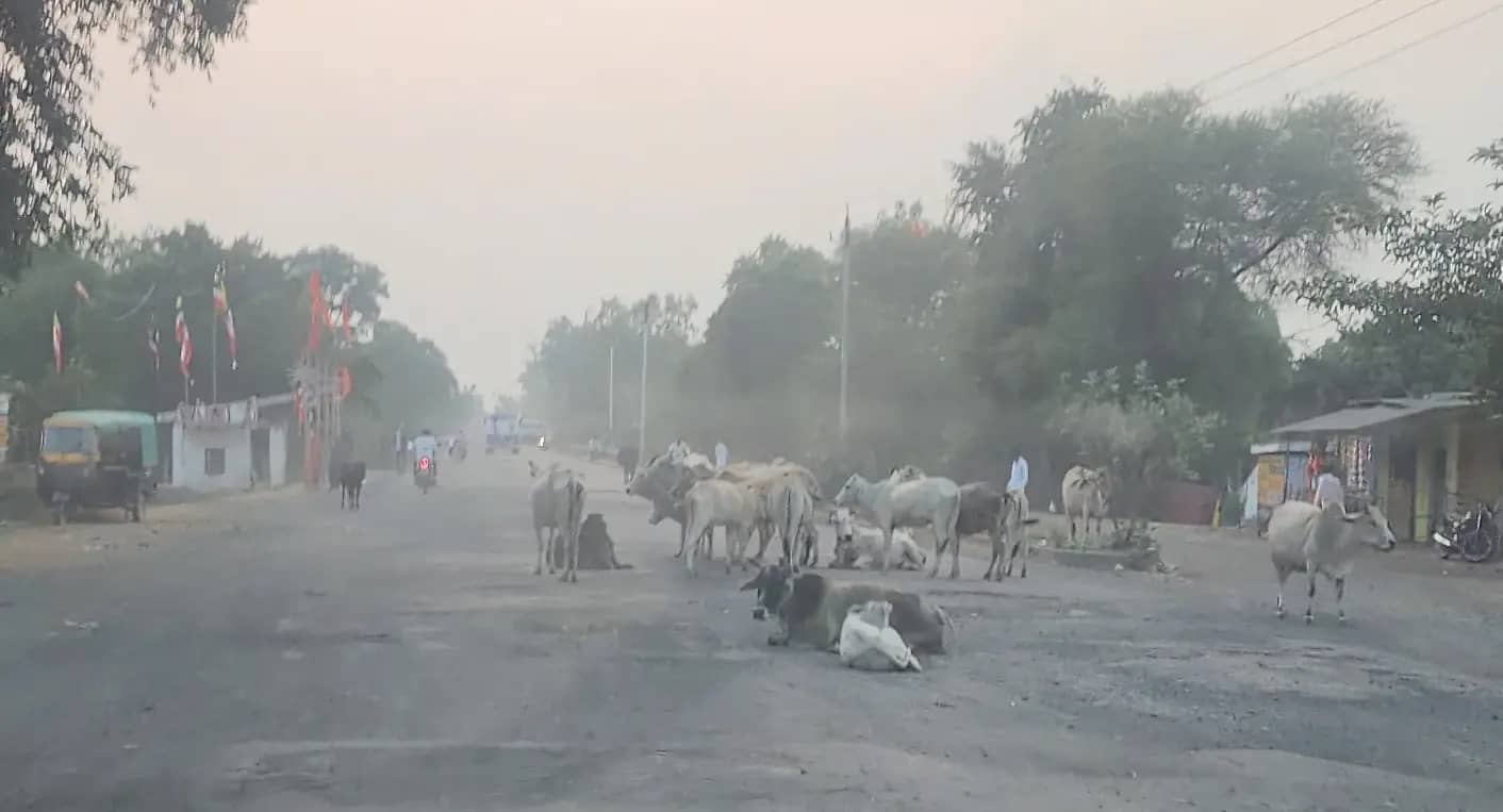 दमोह-सागर स्टेट हाईवे पर 250 गड्ढे, टोल वसूली के बावजूद जान जोखिम में डालकर सफर कर रहे लोग