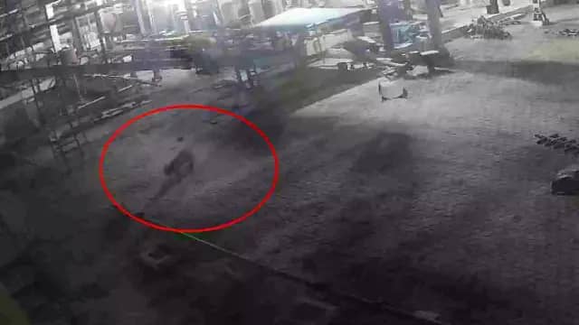  हरदा : सोया प्लांट के अंदर घुसा तेंदुआ, प्रबंधन बेखबर, सूचना के डेढ़ घंटे बाद पहुंचा वन अमला