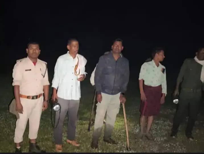  उमरिया के पठारी गांव में 15 हाथियों ने रौंदी किसानों की तीन एकड़ फसल, फॉरेस्ट टीम ने 4 घंटे में  जंगल की तरफ खदेड़ा