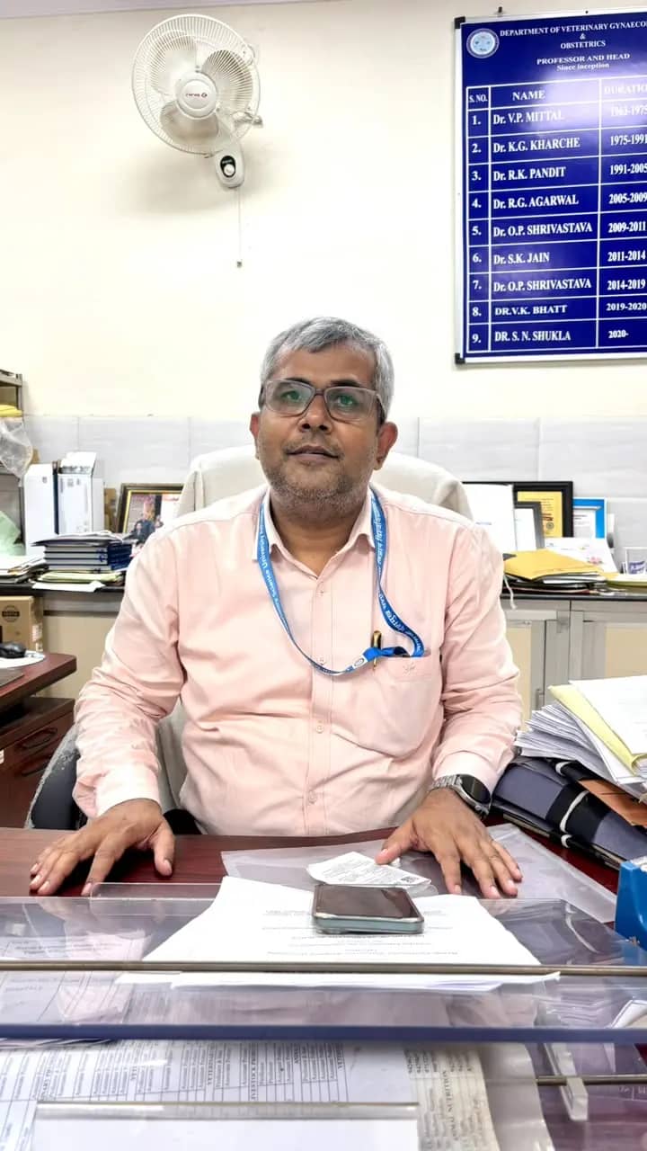 जबलपुर में प्रदेश की पहली पशु इनफर्टिलिटी लैब तैयार, जांच से पता चलेगी पशुओं में बांझपन की वजह