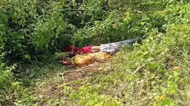 अनूपपुर: 15 फीट गहरे पुल से नीचे गिरी बाइक, दादी, पोता-नाती समेत तीन की मौत