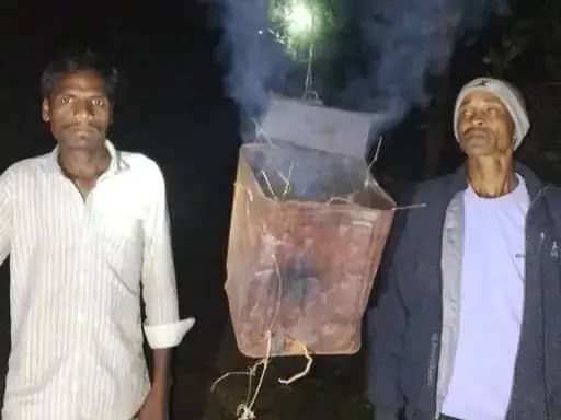 बांधवगढ़ टाइगर रिजर्व में हाथियों के झुंड से किसानों में चिंता, फसलों की सुरक्षा के लिए मिर्ची की धुआं कर रातभर दे रहे पहरा