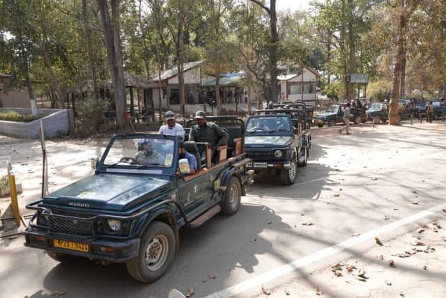नए साल का जश्न मनाने के लिए अभी से नेशनल पार्कों की सफारी फुल