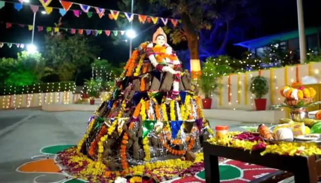 भोपाल में आठ साल में गो-काष्ठ की खपत दोगुनी हुई, लकड़ी की डिमांड लगातार घटी