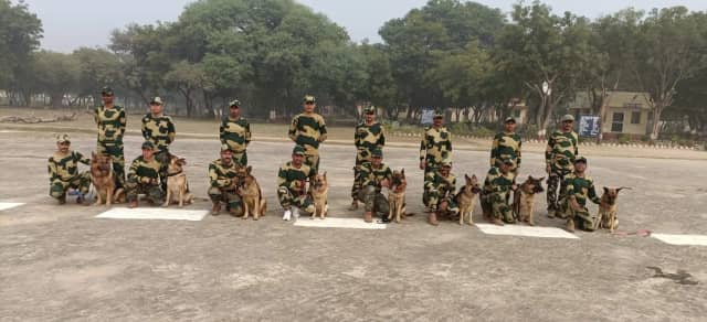 बाघों के घर में अब स्निफर डॉग और टीम के लिए जासूसी की लगेगी पाठशाला