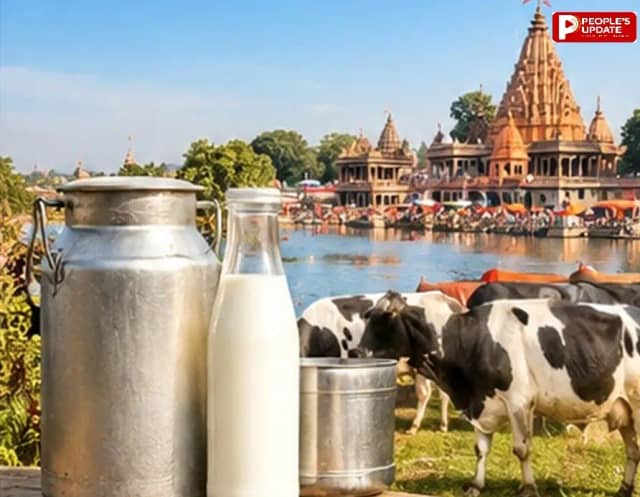 सिंहस्थ में रोज 7 लाख लीटर दूध सप्लाई करेगा डेयरी फेडरेशन, भोपाल-इंदौर में 30 हजार टन पाउडर प्रोसेसिंग क्षमता विकसित करने की तैयारी