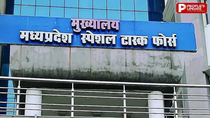 दस्तावेज वेरीफिकेशन में गड़बड़ी पर एसटीएफ ने जारी किए नोटिस, 100 से ज्यादा नगर पालिका-निगम कर्मी, पुलिस वाले घेरे में