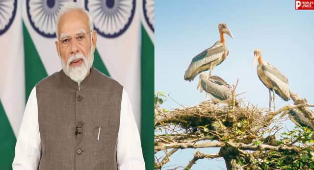 PM Modi ने मन की बात में सुनाई हरगिला की प्रेरक कहानी, बदली गांवों की सोच 