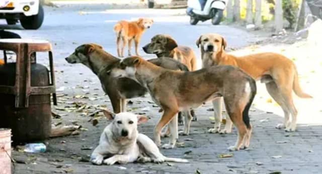 6 लोगों के खिलाफ FIR दर्ज, जानें क्या है पूरा मामला 
