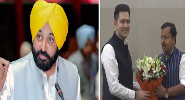 क्यों 7 सांसदों ने एक साथ दिया इस्तीफा, मान बोले- 'इनकी सब्जी कभी नहीं पकेगी...'