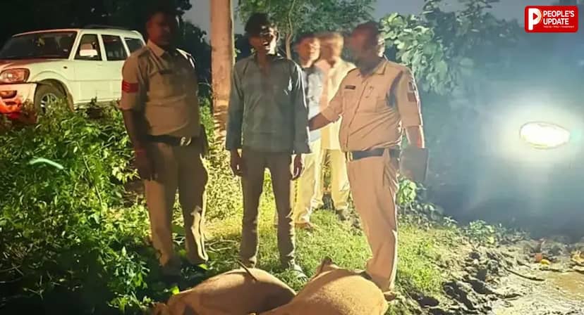 रात 2 बजे वेयरहाउस से चना चोरी, 36 घंटे में खुल गया पूरा राज; 3 आरोपी गिरफ्तार, 6 कट्टी चना बरामद