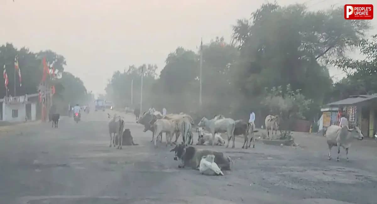 दमोह-सागर स्टेट हाईवे पर 250 गड्ढे, टोल वसूली के बावजूद जान जोखिम में डालकर सफर कर रहे लोग