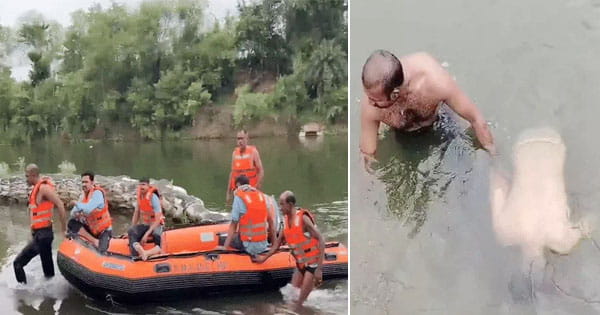 रीवा के क्योटी वॉटरफॉल में हादसा : पिकनिक मनाने आए एयरफोर्स जवान की डूबने से मौत, प्रयागराज से साथियों के साथ आया था