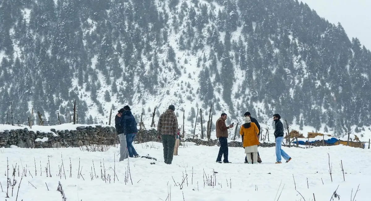 वेस्टर्न डिस्टर्बेंस से बारिश-ओलावृष्टि, पहाड़ों पर बर्फबारी; कई राज्यों में चेतावनी जारी