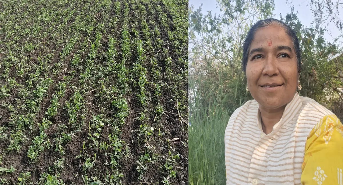 अर्चना सोनी बनीं किसानों के लिए मिसाल, 80 किसानों को दिया रोजगार का रास्ता