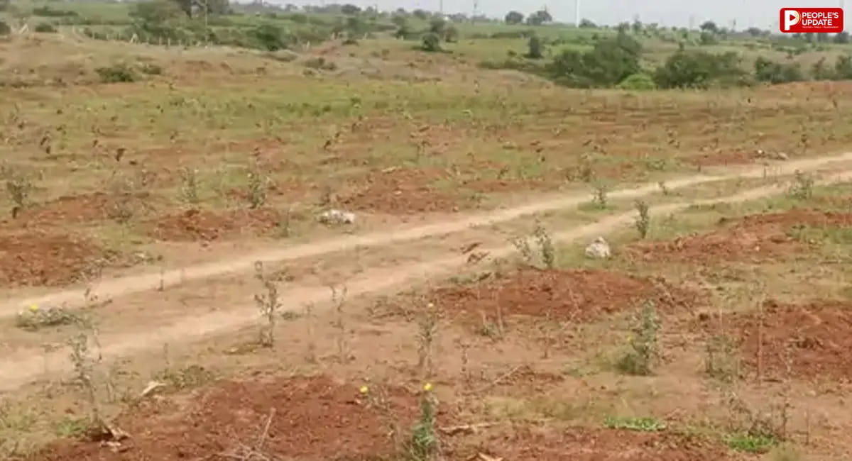 ₹1.91 करोड़ का पौधारोपण फेल, मेट्रो परियोजना की भरपाई के लिए लगाए गए हजारों पौधे तीन महीने में सूखे